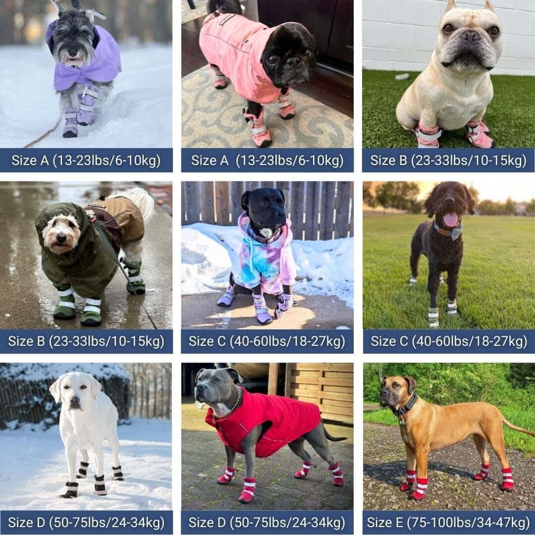 Dog Rainboots, Waterproof Dog Shoes - Image 20