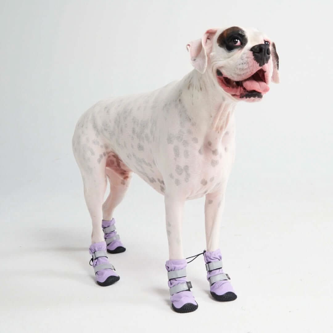 Dog Rainboots, Waterproof Dog Shoes - Image 21