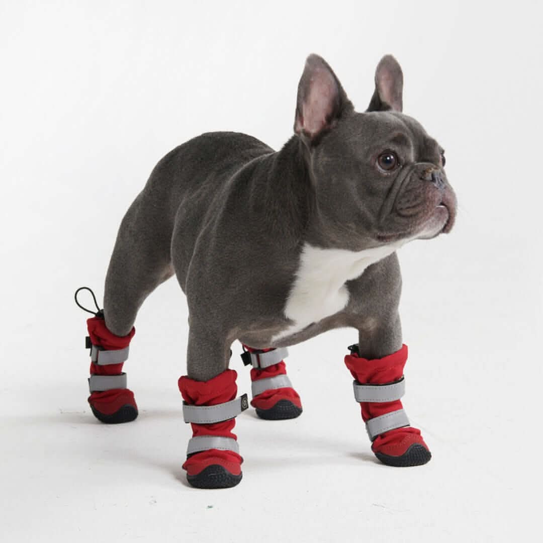 Dog Rainboots, Waterproof Dog Shoes - Image 27