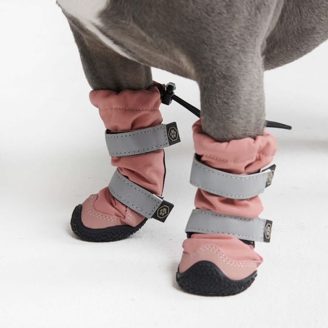 Dog Rainboots, Waterproof Dog Shoes - Image 36