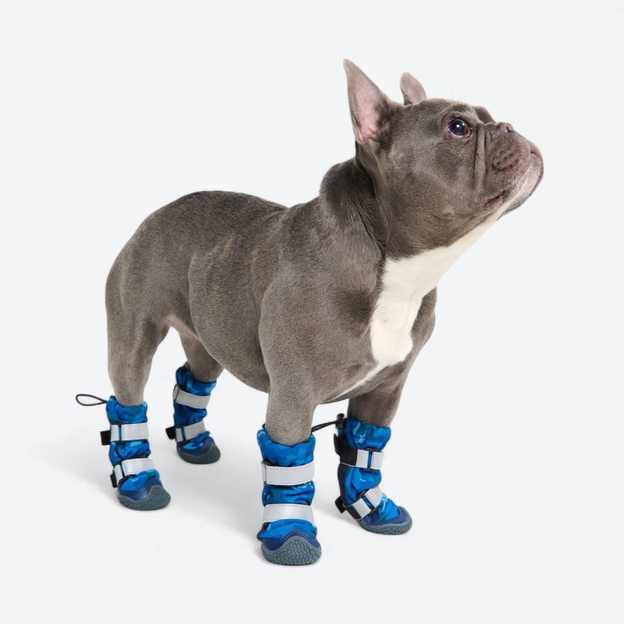 Dog Rainboots, Waterproof Dog Shoes - Image 46