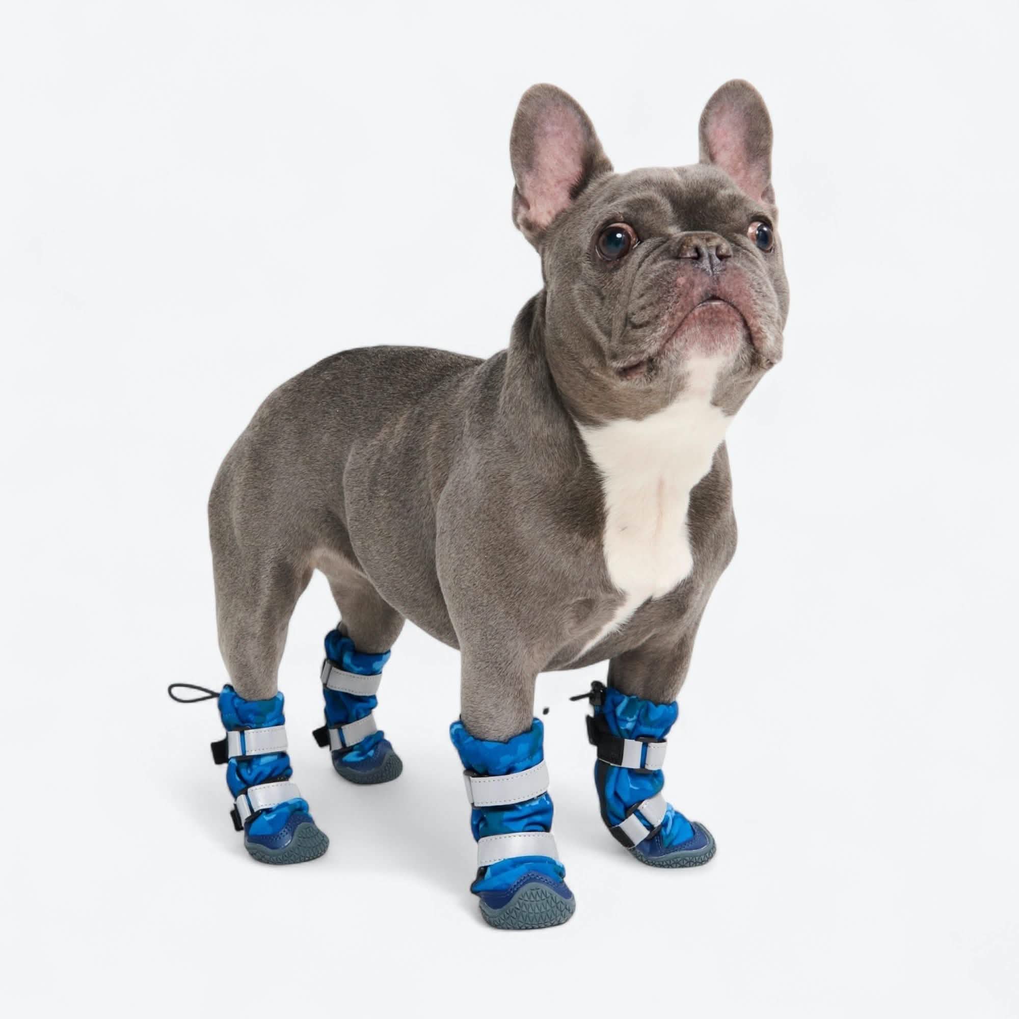 Dog Rainboots, Waterproof Dog Shoes - Image 49