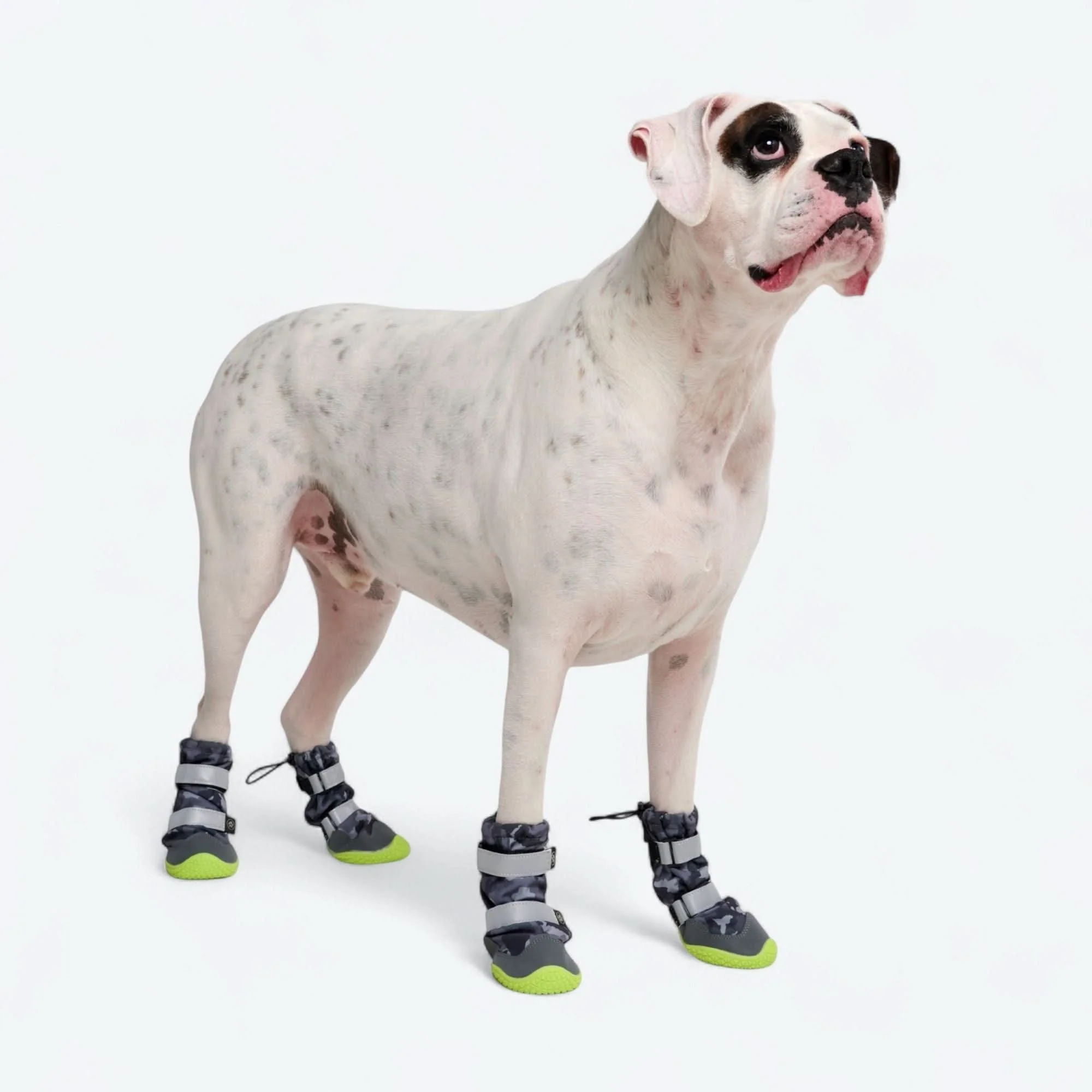 Dog Rainboots, Waterproof Dog Shoes - Image 54