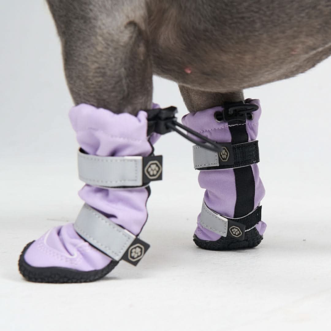Dog Rainboots, Waterproof Dog Shoes - Lilac - Image 3
