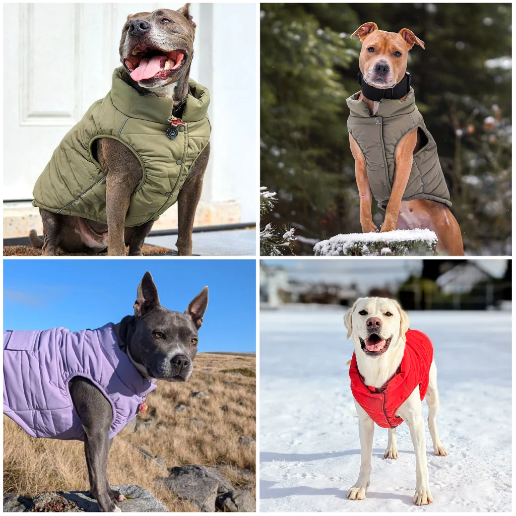 WarmShield Water-Resistant Jackets - Image 37