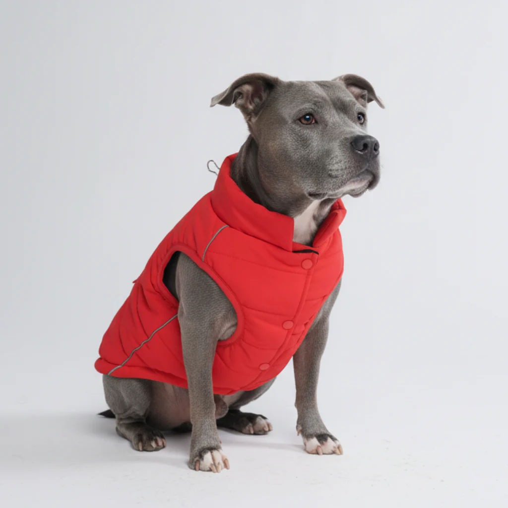 WarmShield Water-Resistant Jackets - Image 80